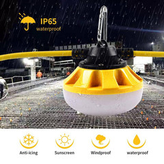 50 Ft. 120 Volt LED Construction String Lights, Linkable, 5000K Daylight, W/ Cli