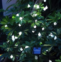 50 LED Solar String Lights Patio Party Yard Garden Wedding Waterproof Outdoor