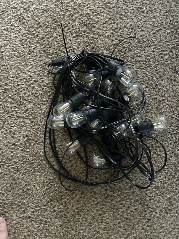 Black Cord Clear Bulb String Lights, Wall Plug-In, Wall Switch Control, Indoor