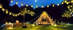 50 LED Solar String Lights Patio Party Yard Garden Wedding Waterproof Outdoor