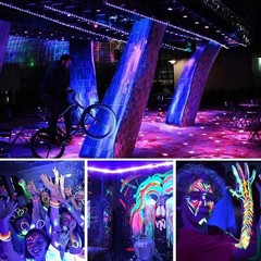 USB LED Strip Light 9.8ft 3M Purple UV Black Light with Switch for Game Room