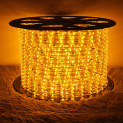 LED Rope Light 50/100/150/300ft Waterproof 110V Garden Outdoor Holiday Lighting
