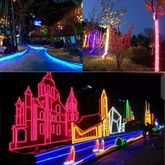 360° Neon LED Strip 12V Light Flexible Waterproof IP68 Underwater Outdoor Decor