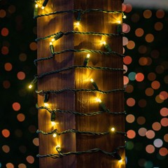 100 Light LED Christmas Mini Light Set, Patio Light, Warm White, Green Wire, 50’