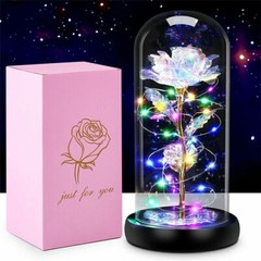 Rose Flowers Valentine’s Day Gifts for Women,Glass Dome Rose for Mom Wife