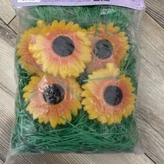 Sunflower String Lights Primal Lite Fun Lights Y2K 90s Bohemian 12 Ft