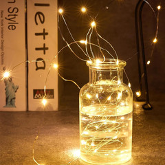 24/12X 20 LEDs 6.6ft Battery Operated Mini Copper Wire String Fairy Lights Decor