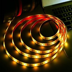 Battery Powered LED Strip Lights 24Keys Remote Controlled DIY Indoor and Outdoor