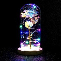 Rose Flowers Valentine’s Day Gifts for Women,Glass Dome Rose for Mom Wife