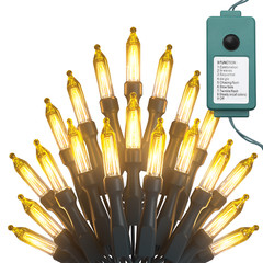 Plug In 100 LED String Lights Outdoor Use Weatherproof 8 Mode Party Fairy Light