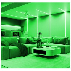 USA 24V Flexible Silicone COB LED Light Strip Waterproof for Home Floor Outdoor