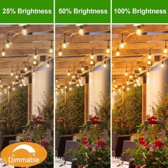 Energy Saving 1W S14 LED Bulbs, 15 Pack, Dimmable Warm Light for Outdoor Decor