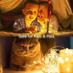 Fairy Lights with Switch 100/200 LED Plug in Copper String Light Christmas Party