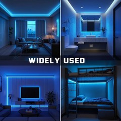 16ft BLUE 2538 SMD 300 LED Rope Tape Lights Waterproof IP65 DC12V+24 Key Remote
