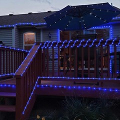 39FT Solar Rope Lights Outdoor Waterproof LED PVC Tube Fairy String Light Garden