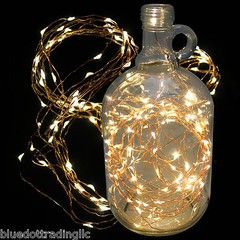 10m 32Ft 100LEDs Copper Wire LED Starry Lights Strings Fairy Lamp +Power Adapter