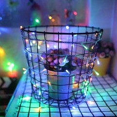 LED String Lights Tree Wedding Lamps Indoor Chasing Flash Outdoor Xmas Decor