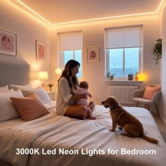 Super Bright 12V LED Neon Rope Light, 16.4ft, multicolor 3000K, IP65 Waterproof