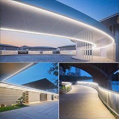 110V LED Neon Rope Light Strip Flexible Waterproof Commercial Building Bar Decor