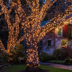 21ft White Wire Clear Mini Christmas String Lights 100 Count Clear Christmas