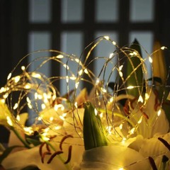 USB Twinkle LED String Fairy Lights 200/300LED Copper Wire Party Decor W/ Remote